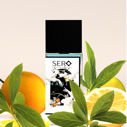 Front view of a minimalist clear glass perfume bottle with black wood cap containing SERO fragrance inspired by LV Imagination.